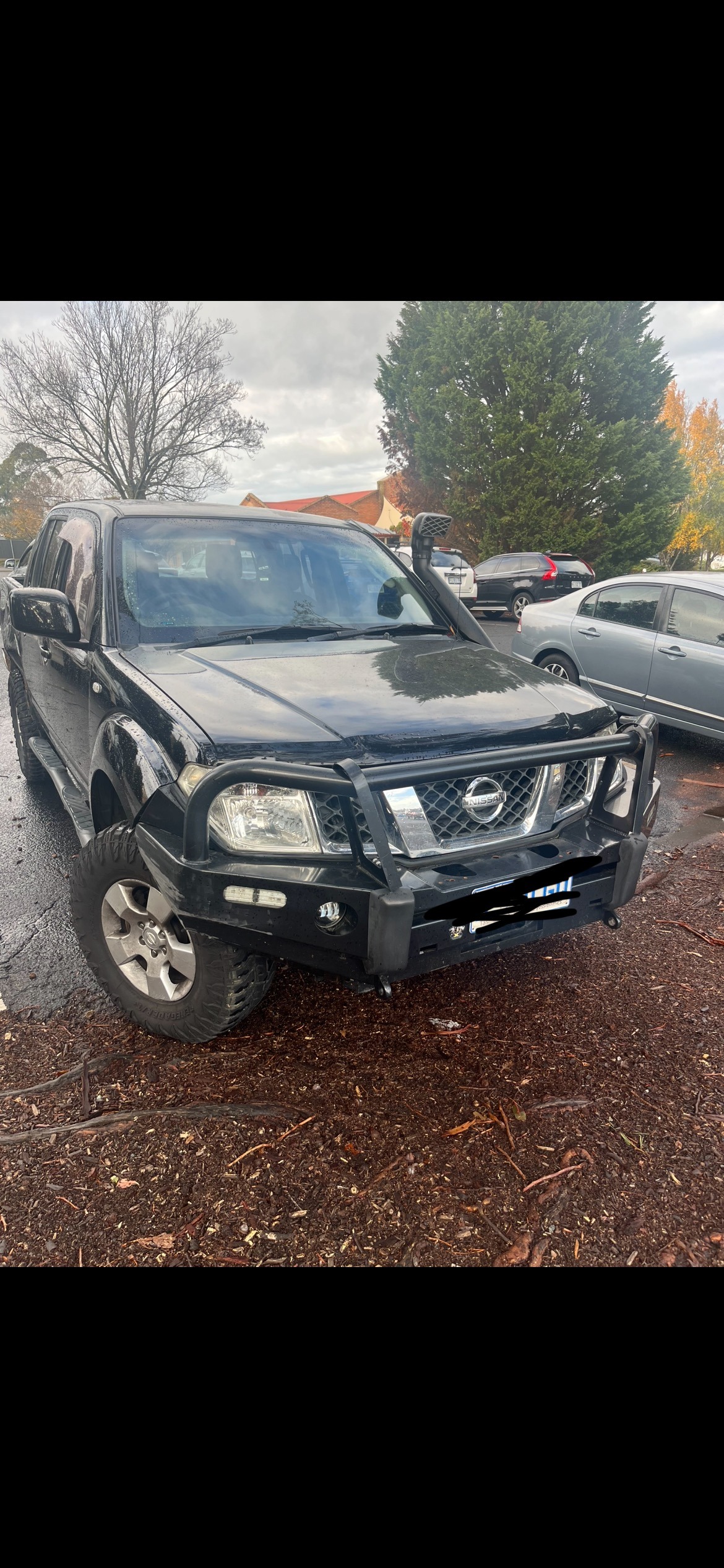 2010 Nissan Navara