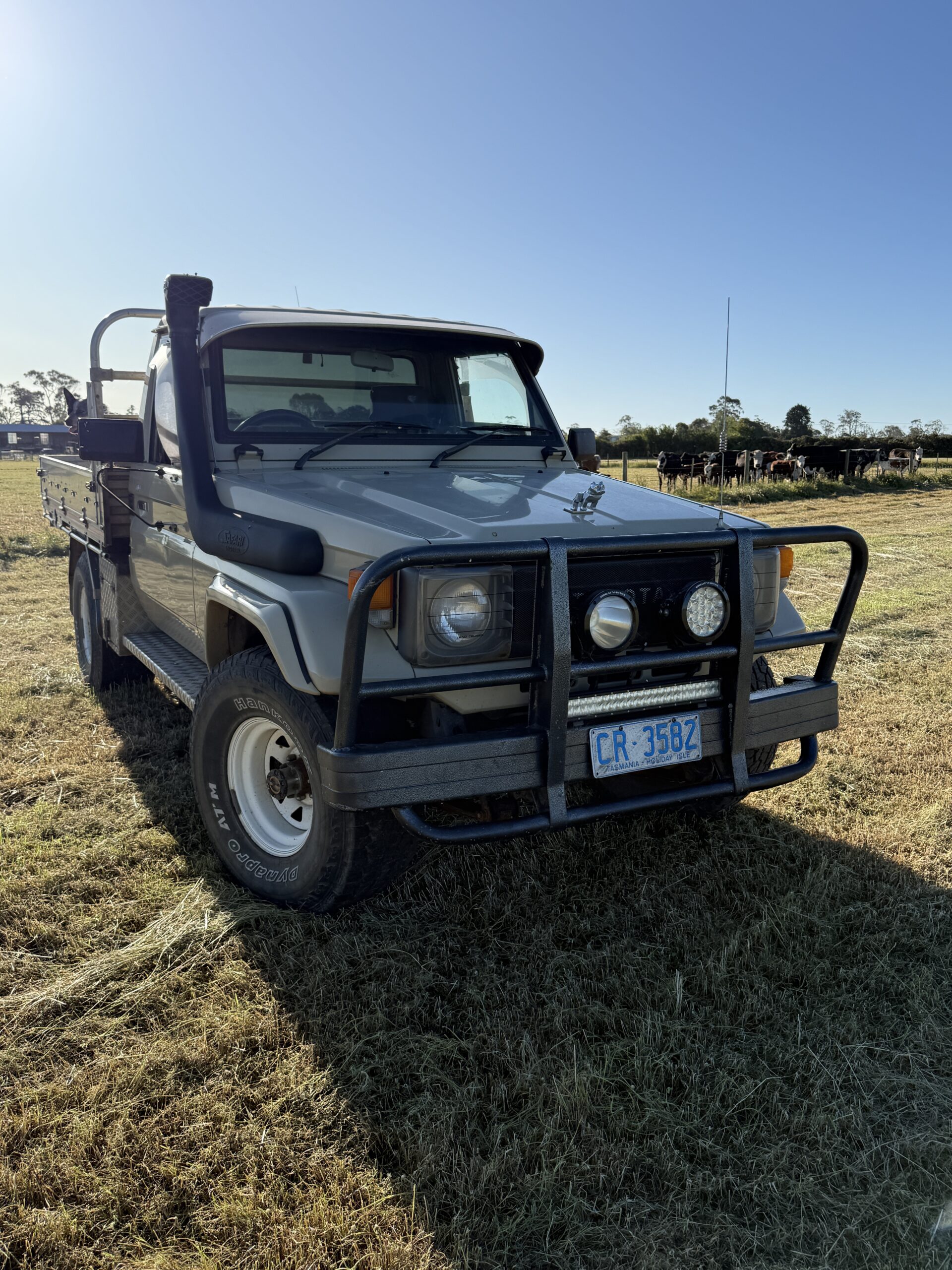 1990 Toyota Landcruiser
