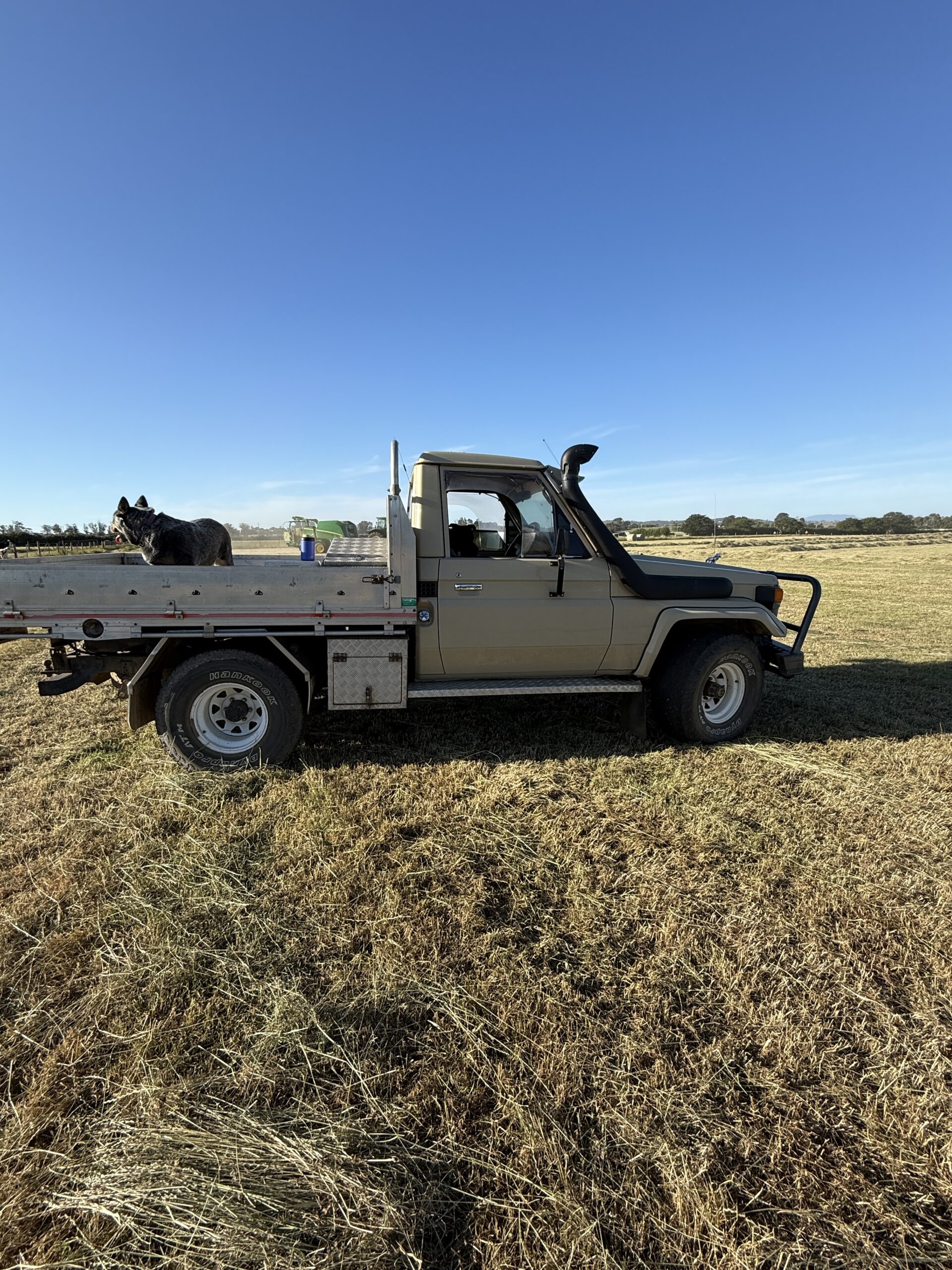 1990 Toyota Landcruiser
