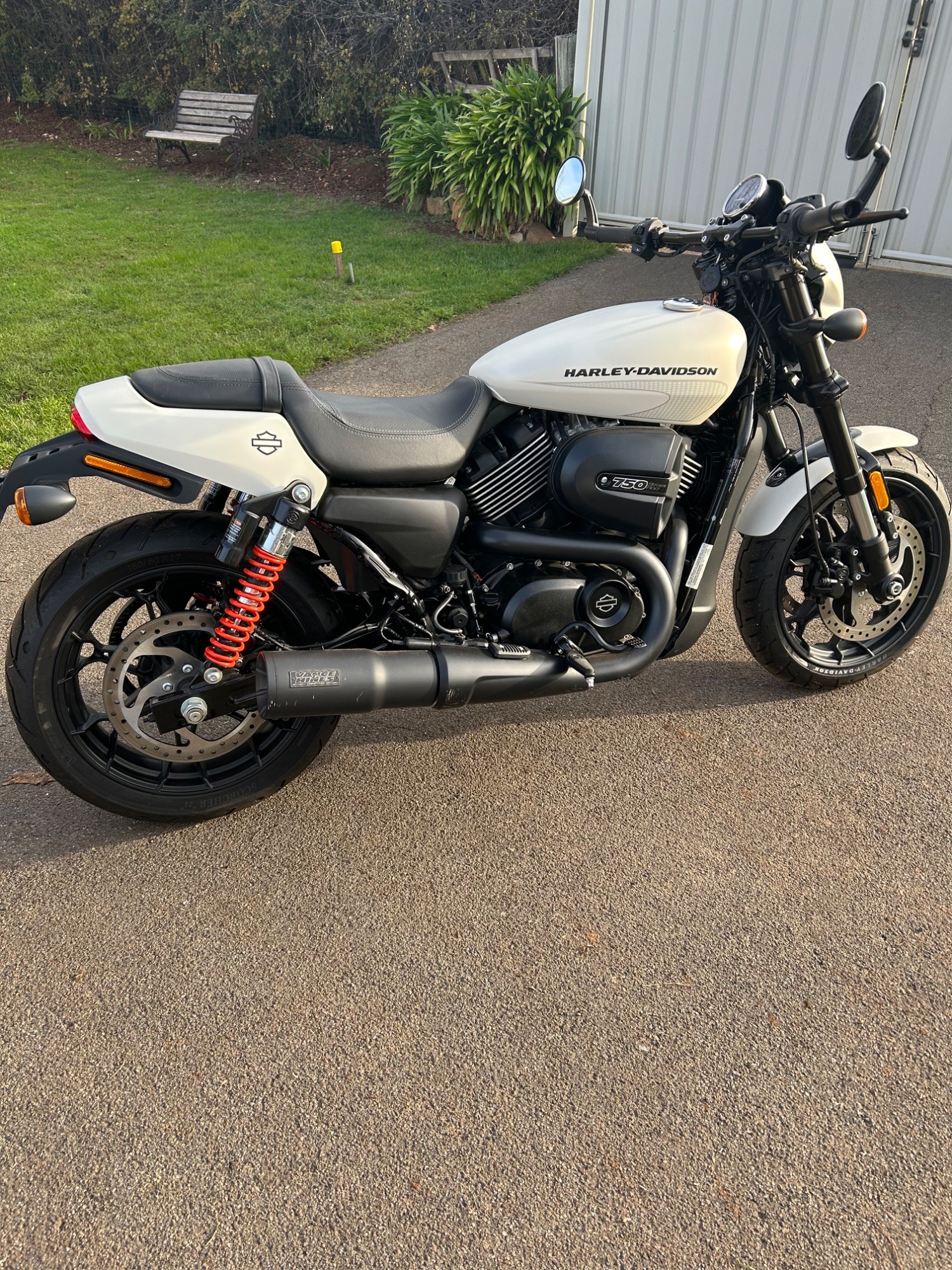 2019 Harley-Davidson Street Rod (XG750A)