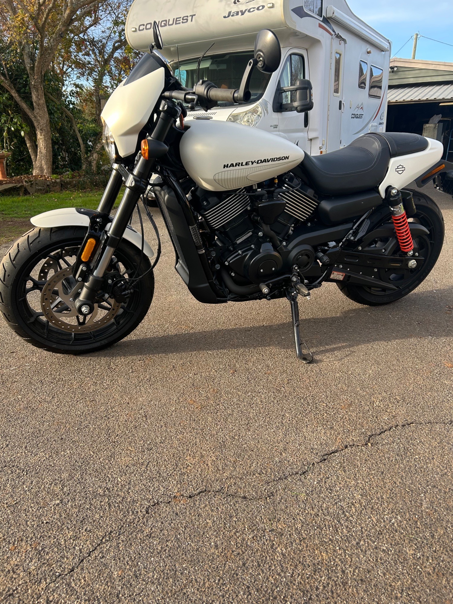 2019 Harley-Davidson Street Rod (XG750A)
