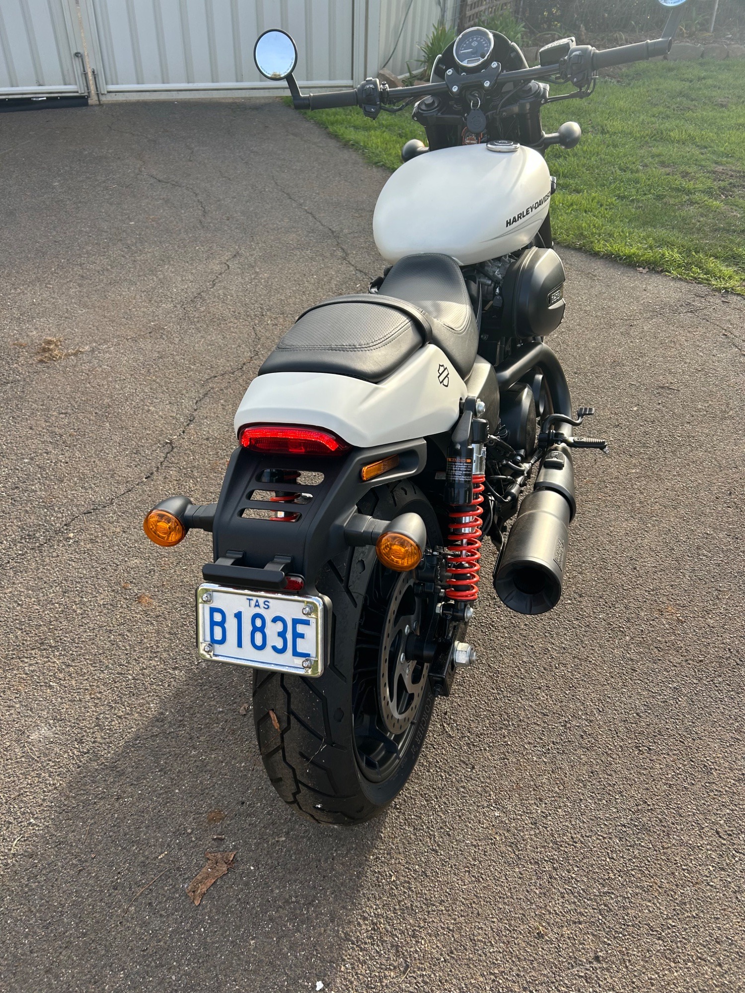 2019 Harley-Davidson Street Rod (XG750A)