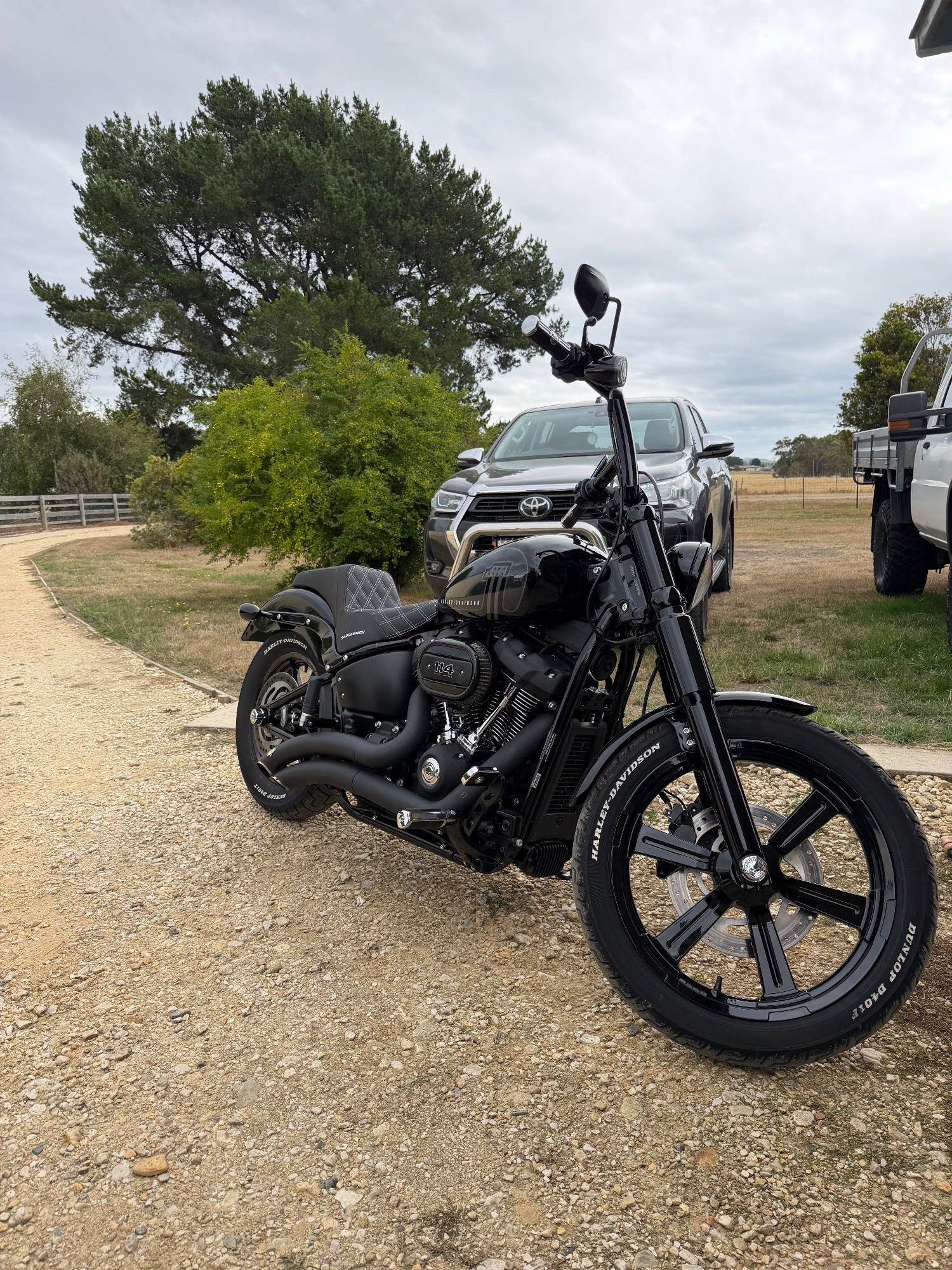 2024 Harley-Davidson Street Bob 114 (FXBBS)