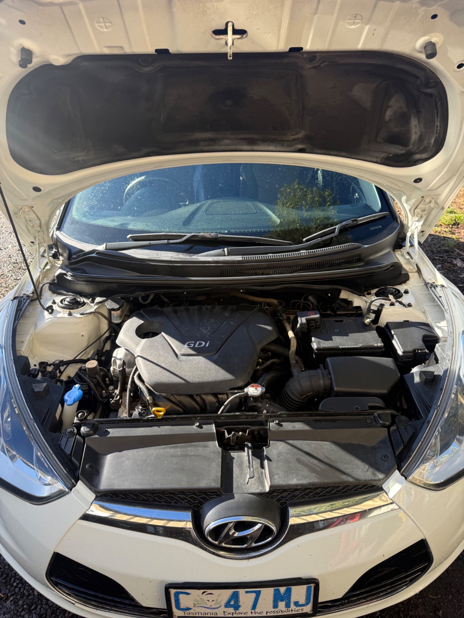 2011 Hyundai Veloster