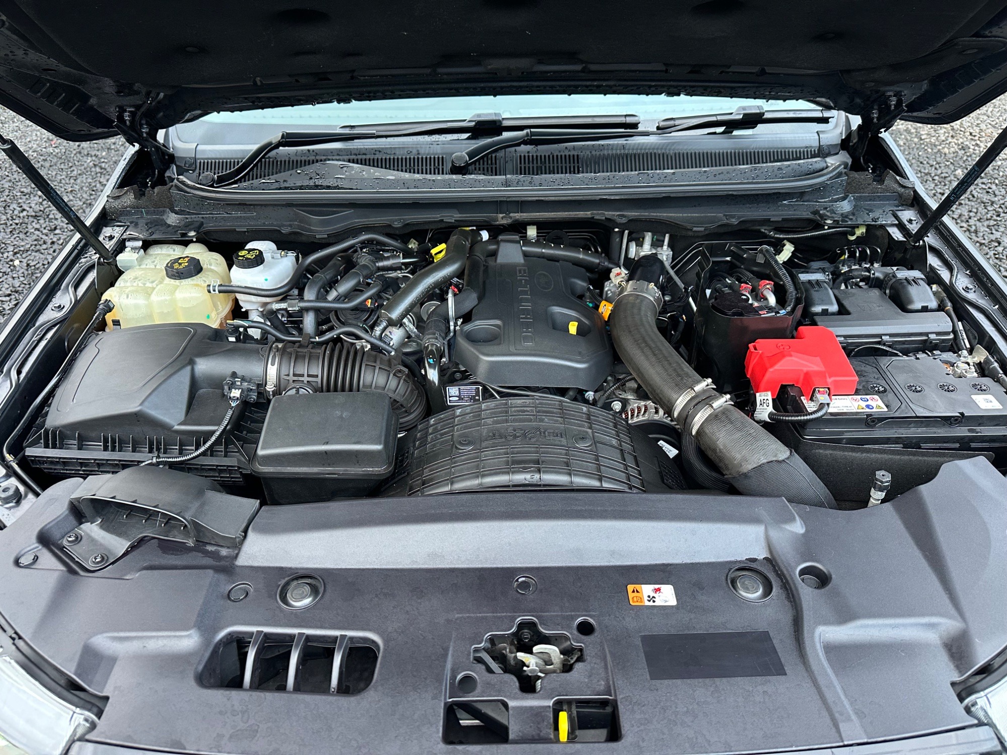 2022 Ford Everest