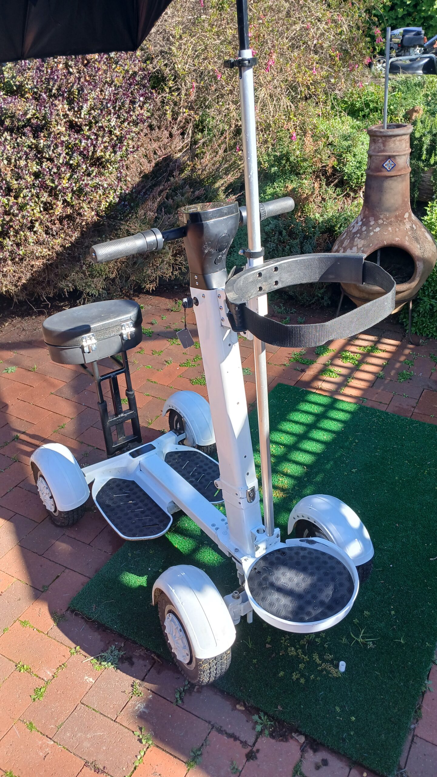 ride on golf scooter/caddy