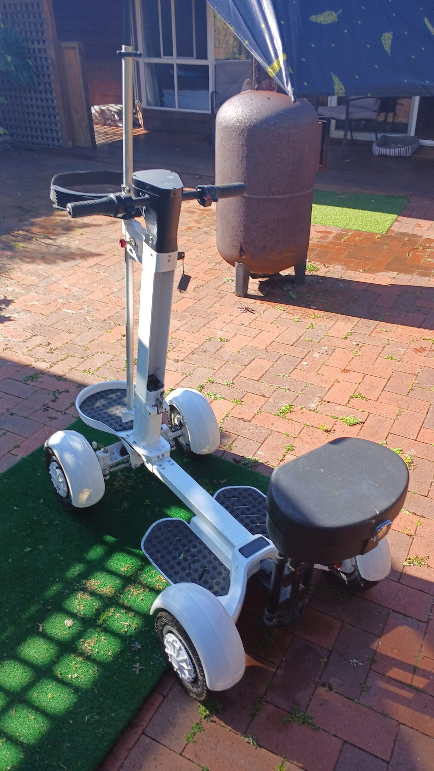 ride on golf scooter/caddy