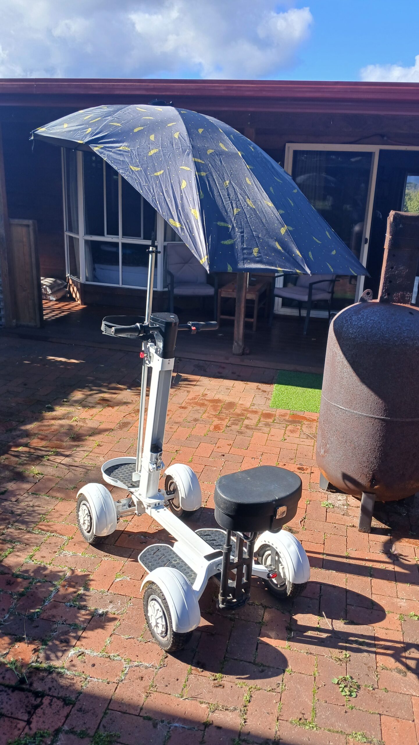 ride on golf scooter/caddy